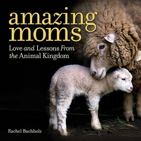 Amazing Moms (Hardcover) (Rachel Bucholz) - image 1 of 1