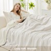 Aoibox Faux Fur Throw Blanket for Couch, Ultra Soft Plush Winter Blanket for Sofa Bedroom Living Room, Beige - 2 of 4