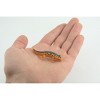 Eastern Orange Newt, Lizard, Rubber Reptile, Hand Painted, Educational, Realistic, Model, Replica, Toys, Kids, Gift,   2 1/2 Inches.    WR38 B197 - 2 of 4