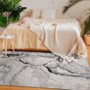 Washable Modern Abstract Living Room Area Rugs, Soft Non Slip Throw Carpet for Bedroom, Contemporary Floor Cover - 4 of 4