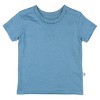 Honest Baby Boys' 4pk Organic Cotton Short Sleeve T-Shirt - Blue/White - image 2 of 4