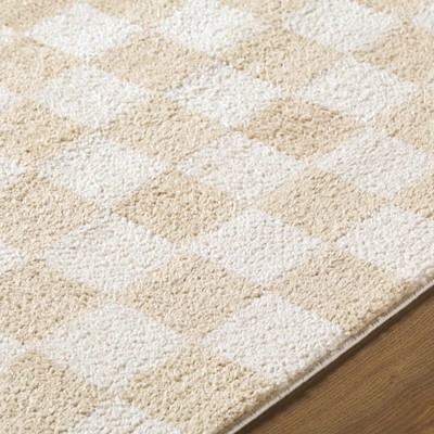 Hauteloom Canika Checkered Cream Washable Area Rug