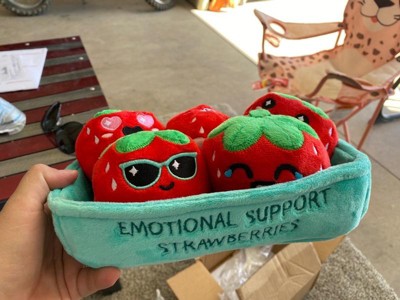 Emotional Support Strawberries Plush Set What Do You Meme - ToyWiz