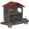 JCS Wildlife Squirrel Snack Station (Small & Large) - 2 of 4