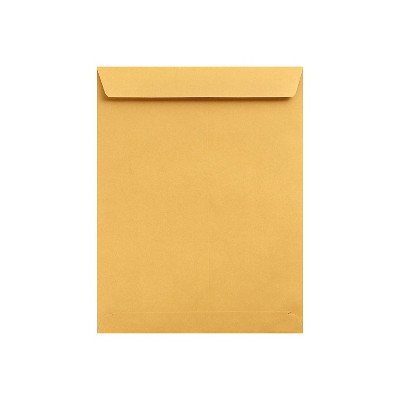 LUX Jumbo Envelopes 13" x 19" Brown Kraft 250/Pack (22663-250)