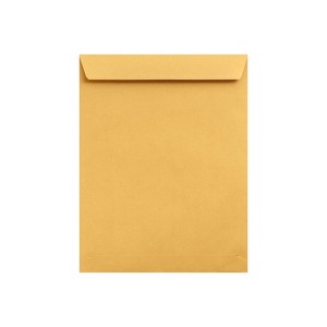 LUX Jumbo Envelopes 13" x 19" Brown Kraft 250/Pack (22663-250) - 1 of 1