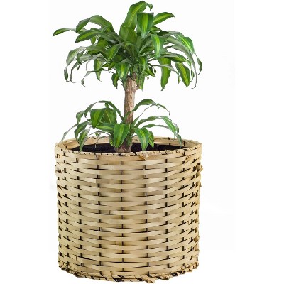 Esterno Grow Bag Basket Set; Decorative Round Basket w/ Two 6-Gallon Grow Bags