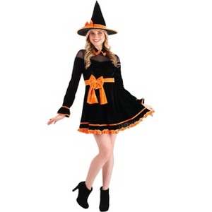 HalloweenCostumes.com Women's Crafty Witch Costume - 1 of 4