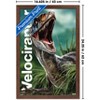 Trends International Jurassic World: Rebirth (2025) - Velociraptor Framed Wall Poster Prints - 3 of 4