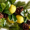 Plum & Post Lemon & Mixed Botanicals Wreath 26" - 4 of 4