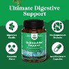 Gallbladder Support Capsule, Pure Ox Bile Salts, Pancreatin & Chanca Piedra for Gut Cleanse, Detox & Repair, Spearmint Flavor, Nature's Craft, 90ct - 2 of 4
