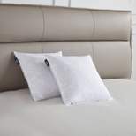 Serta 20"x20" Medium Firm 2pk Decorative Feather Pillow Insert