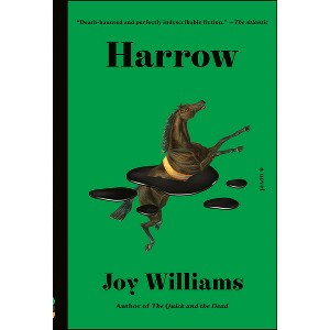 Harrow - (Vintage Contemporaries) by  Joy Williams (Paperback) - 1 of 1