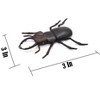 CWG | Stag Beetle, Very Nice Rubber Reproduction    3"       CWG15 B16 - 4 of 4