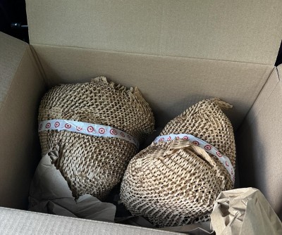 Guest review image 5 of 5, zoom in