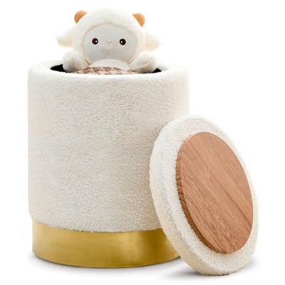 KTMBDW Teddy Velvet Storage Ottoman Multipurpose Footrest Stool with Metal Base, Round Vanity Stool Chair Ottoman Foot Stools for Living Room, Bedroom
