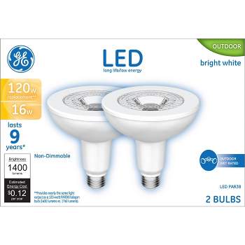 GE 2pk 16W 120W Equivalent Basic LED Outdoor Floodlight Bulbs Bright White