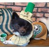 Latte Coffee Dog Halloween Costumes for Small Medium Dogs Cats, Puppy Dog Costumes Pet Clothes Outfit for Christmas Party Special Events - 3 of 4
