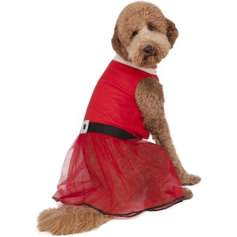 Merry & Bright XL Dog Present Box Costume Christmas Holiday Gift Outfit  X-Large