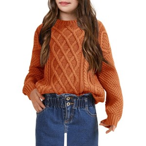 Girls Long Sleeve Cable Knit Sweater Crewneck Pullover Sweaters Kids Chunky Cute Fall Jumper Tops - 1 of 4