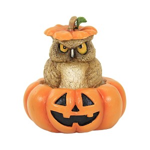 Bethany Lowe 5.25 In Mr. Grumps Halloween Owl Pumpkin Bird Figurines - 1 of 3