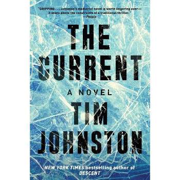 The Current - by Tim Johnston (Paperback)