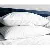 Dr. Pillow BackHome Pillow 7 in 1 Bacteria Protection and Cooling Pillow (2 Set ) - 3 of 4