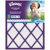 Elite Allergen Air Filter - 13 MERV RATING - 2 of 4