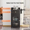 Karl Home Gray Wooden Mobile Salon Trolley Cart with Wheels and Glass Door and Dryer Holder - 3 of 4