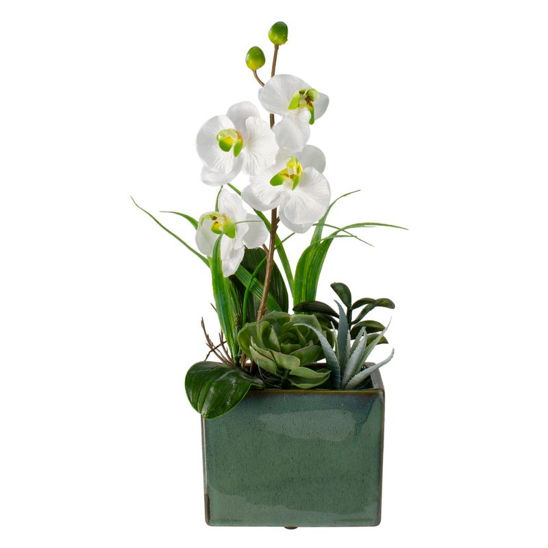 Northlight 12" Orchid and Succulents Artificial Potted Flower Arrangement - Green/White, 1 of 5