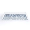 Evanjelina & Co Chinoiserie Classic Blue Acrylic Tray - Deny Designs - 2 of 4