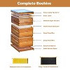 10-Frame Beeswax-Coated Beehive Starter Kit – Complete Langstroth Hive w/2 Deep & 1 Super Box, Cedarwood Construction for Beginner Beekeepers - 3 of 4