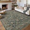 Nasitip Bohemian Flowers Stripes Area Rug Non-Slip Washable for Living Room，Bedroom，Entryway - 3 of 4