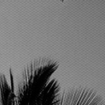 farmhouse gray