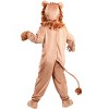 HalloweenCostumes.com Lovable Lion Costume for a Child - 2 of 2