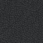 oregon state beavers