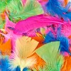 Charles Leonard Creative Arts™ Turkey Feathers, Hot Colors, 14 Grams Per Pack, 12 Packs - 4 of 4