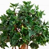 Nearly Natural 2.5-ft English Ivy Topiary UV Resistant (Indoor/Outdoor) - 3 of 4
