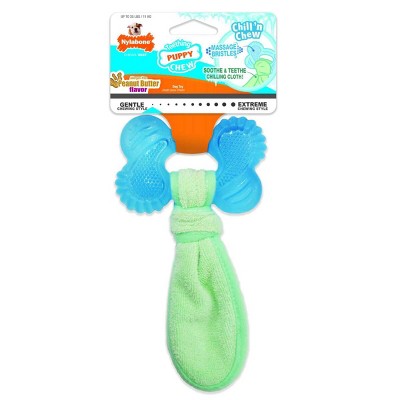 Nylabone Small Blue and Green Peanut Butter Freezer Bone Toy