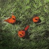 Gallerie II Cardinal  Christmas XMAS Ornament Set of 3 - 2 of 4