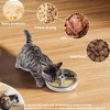 ZACHVO Automatic Pet Feeder with Cold Storage and Voice Recorder for Cats and Small Dogs - 3 of 4