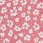 white flowers on pink background