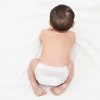 Andy Pandy Bamboo Training Pants - Size 2T - 25ct - 4 of 4