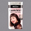Kao Blaune Lumiest Hair Color - 2A Stylish Ash - 1.76 oz - Ash color, zero compromise: Luminous color for every strand - 2 of 4