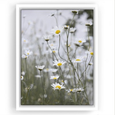 Americanflat - 16x20 Floating Canvas White - Daisies By Sisi And Seb ...