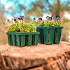 Vego Garden Seed Starting Bundle
 - 3 of 4