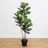 Nearly Natural 65-in Fiddle Leaf Tree UV Resistant (Indoor/Outdoor) - 2 of 4