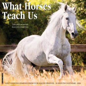 Willow Creek Press 2026 What Horses Teach Us Wall Calendar - 1 of 4
