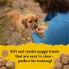 Zukes Puppy Naturals Soft Chews with Vitamins & Minerals Salmon Flavor Training Dog Treats - 5oz - 3 of 4
