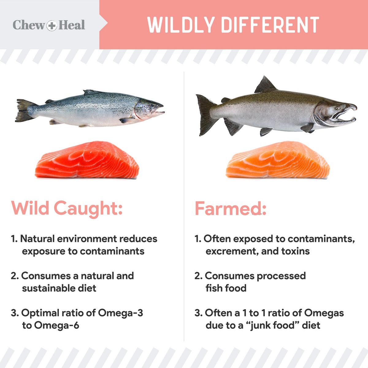 Chew + Heal Pure Wild Alaskan Omega Salmon Oil Formula Skin & Coat Liquid Supplement for Dogs - thumbnail 5